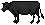 Angus Cow